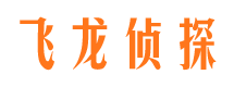 荥经调查事务所